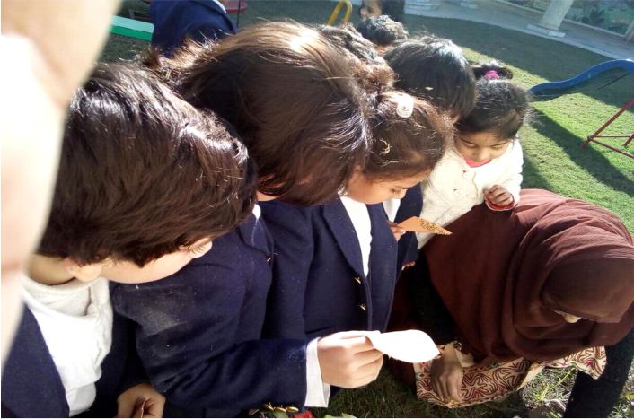 Planting Seeds Activities